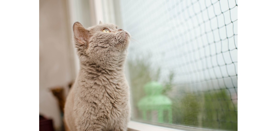 Jak wybrać odpowiednią moskitierę?