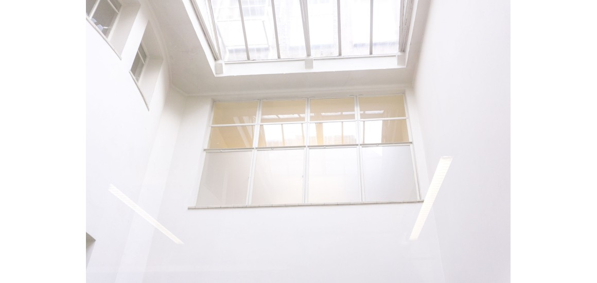 Wszystko, co musisz wiedzieć o roletach zewnętrznych dachowych | rollcenter.pl